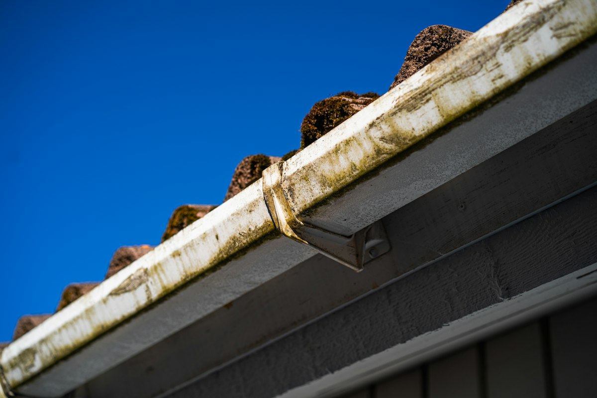 Gutter clogged with debris along a roof edge